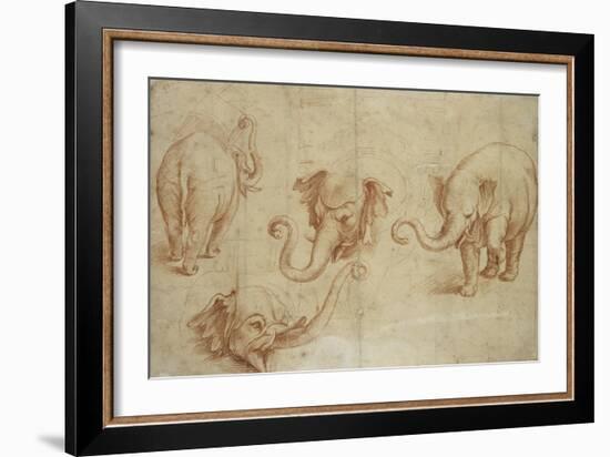 Four Studies of an Elephant-Giulio Romano-Framed Giclee Print