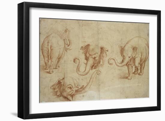 Four Studies of an Elephant-Giulio Romano-Framed Giclee Print