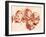 Four Studies of Children Heads-Francois Boucher-Framed Giclee Print