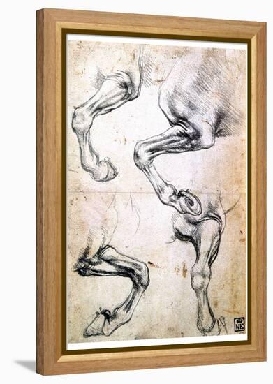 Four Studies of Horses' Legs, C1500-Leonardo da Vinci-Framed Premier Image Canvas