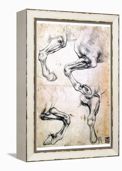 Four Studies of Horses' Legs, C1500-Leonardo da Vinci-Framed Premier Image Canvas