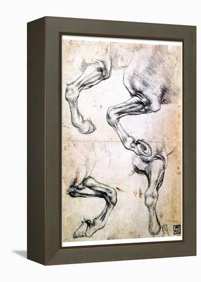 Four Studies of Horses' Legs, C1500-Leonardo da Vinci-Framed Premier Image Canvas