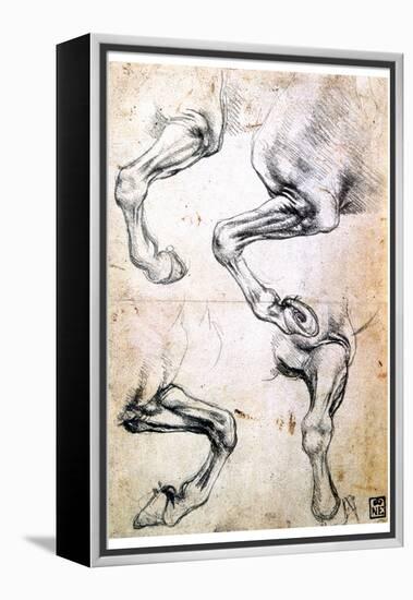 Four Studies of Horses' Legs, C1500-Leonardo da Vinci-Framed Premier Image Canvas