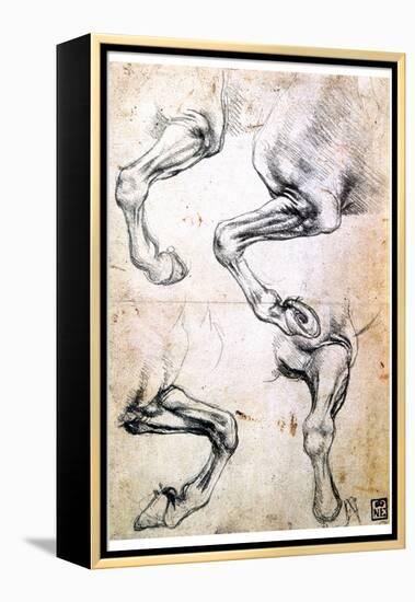 Four Studies of Horses' Legs, C1500-Leonardo da Vinci-Framed Premier Image Canvas
