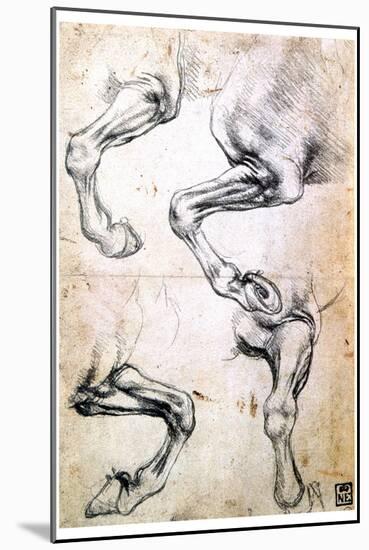 Four Studies of Horses' Legs, C1500-Leonardo da Vinci-Mounted Premium Giclee Print