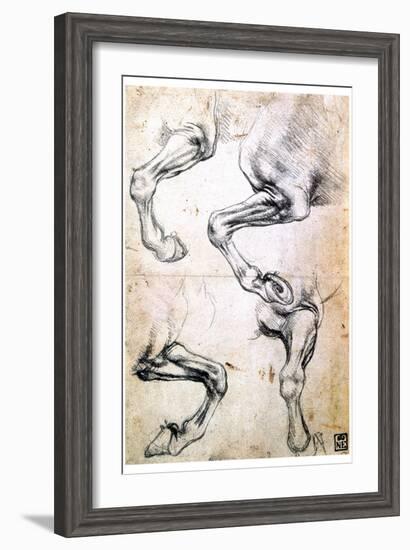 Four Studies of Horses' Legs, C1500-Leonardo da Vinci-Framed Giclee Print