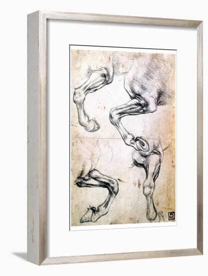 Four Studies of Horses' Legs, C1500-Leonardo da Vinci-Framed Giclee Print