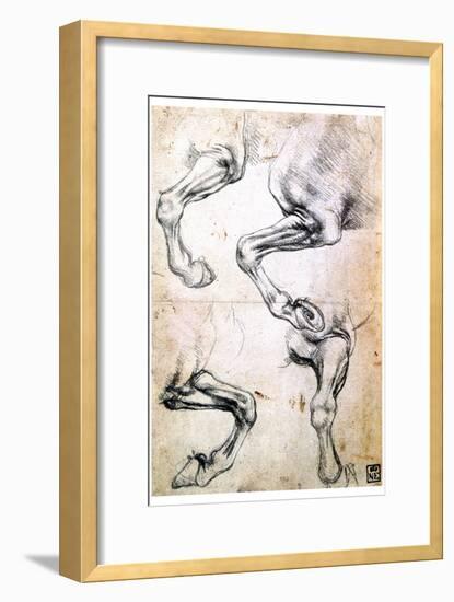 Four Studies of Horses' Legs, C1500-Leonardo da Vinci-Framed Giclee Print