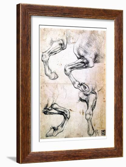 Four Studies of Horses' Legs, C1500-Leonardo da Vinci-Framed Giclee Print