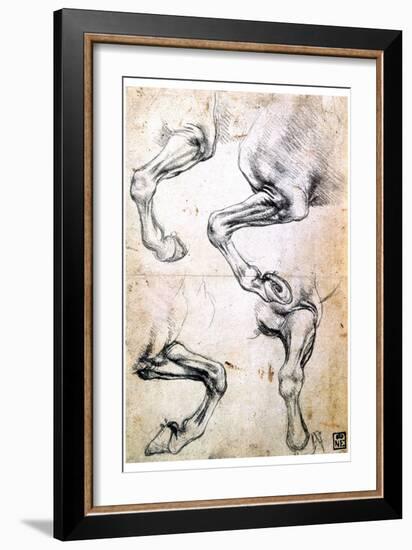 Four Studies of Horses' Legs, C1500-Leonardo da Vinci-Framed Giclee Print