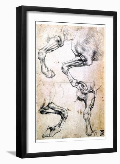Four Studies of Horses' Legs, C1500-Leonardo da Vinci-Framed Giclee Print