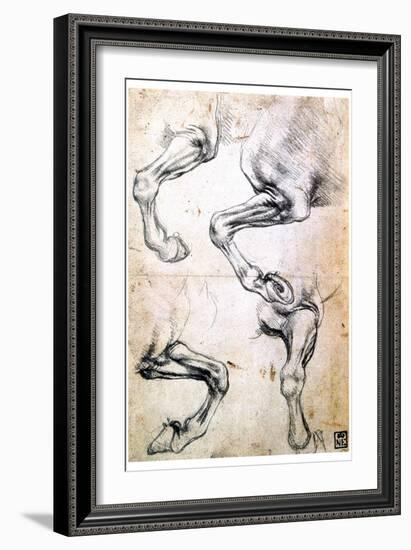 Four Studies of Horses' Legs, C1500-Leonardo da Vinci-Framed Giclee Print