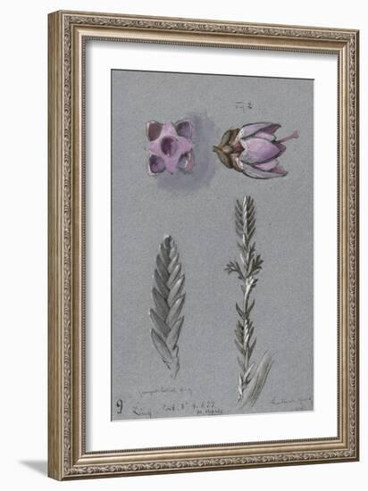 Four Studies of Ling-John Ruskin-Framed Giclee Print