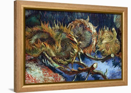 Four Sunflowers Gone To Seed-Vincent van Gogh-Framed Stretched Canvas
