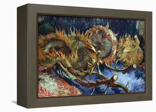 Four Sunflowers Gone To Seed-Vincent van Gogh-Framed Stretched Canvas