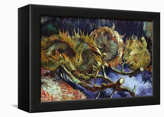 Four Sunflowers Gone To Seed-Vincent van Gogh-Framed Stretched Canvas