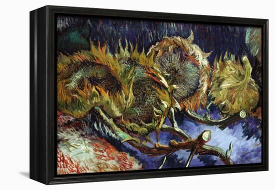 Four Sunflowers Gone To Seed-Vincent van Gogh-Framed Stretched Canvas