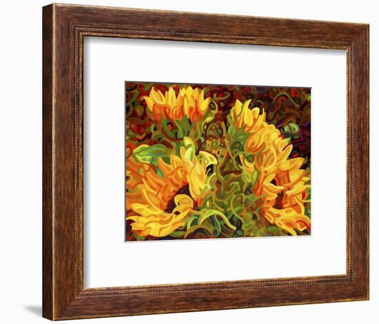 Four Sunflowers-Mandy Budan-Framed Giclee Print