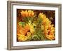 Four Sunflowers-Mandy Budan-Framed Giclee Print