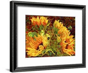 Four Sunflowers-Mandy Budan-Framed Giclee Print