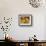 Four Sunflowers-Mandy Budan-Framed Giclee Print displayed on a wall