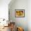 Four Sunflowers-Mandy Budan-Framed Giclee Print displayed on a wall