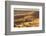 Four Wheel Drive on Desert Dunes, Wahiba, Oman, Middle East-Angelo Cavalli-Framed Photographic Print