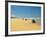 Four Wheel Drives, Seventy Five Mile Beach, Fraser Island, Queensland, Australia-David Wall-Framed Photographic Print