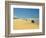 Four Wheel Drives, Seventy Five Mile Beach, Fraser Island, Queensland, Australia-David Wall-Framed Photographic Print