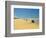 Four Wheel Drives, Seventy Five Mile Beach, Fraser Island, Queensland, Australia-David Wall-Framed Photographic Print