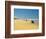 Four Wheel Drives, Seventy Five Mile Beach, Fraser Island, Queensland, Australia-David Wall-Framed Photographic Print