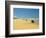 Four Wheel Drives, Seventy Five Mile Beach, Fraser Island, Queensland, Australia-David Wall-Framed Photographic Print