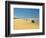 Four Wheel Drives, Seventy Five Mile Beach, Fraser Island, Queensland, Australia-David Wall-Framed Photographic Print