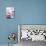 Four Yoghurts with Berries, Cereal and Watermelon-null-Mounted Photographic Print displayed on a wall