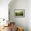 Four-Marcin Sobas-Framed Photographic Print displayed on a wall