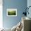 Four-Marcin Sobas-Framed Photographic Print displayed on a wall