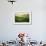 Four-Marcin Sobas-Framed Photographic Print displayed on a wall