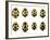 Fourteen-spot Ladybird Colouration-Dr. Keith Wheeler-Framed Photographic Print