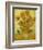 Fourteen Sunflowers in a Vase, 1889-Vincent van Gogh-Framed Giclee Print