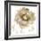 Fower Burst in Gold II-Vanessa Austin-Framed Art Print