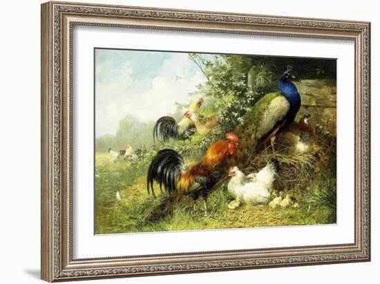 Fowl and Peacocks, 1899-Arthur Fitzwilliam Tait-Framed Giclee Print