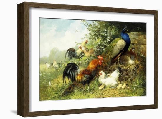 Fowl and Peacocks, 1899-Arthur Fitzwilliam Tait-Framed Giclee Print