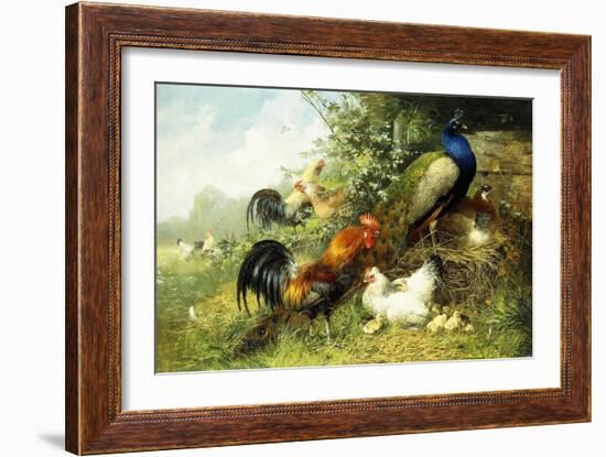 Fowl and Peacocks, 1899-Arthur Fitzwilliam Tait-Framed Giclee Print