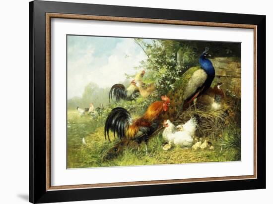 Fowl and Peacocks, 1899-Arthur Fitzwilliam Tait-Framed Giclee Print