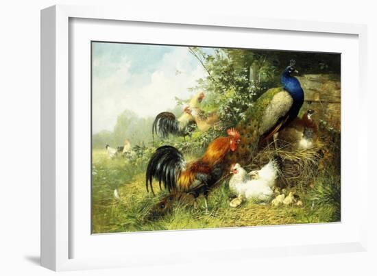 Fowl and Peacocks, 1899-Arthur Fitzwilliam Tait-Framed Giclee Print