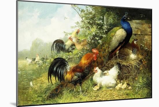 Fowl and Peacocks, 1899-Arthur Fitzwilliam Tait-Mounted Giclee Print