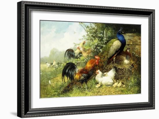 Fowl and Peacocks, 1899-Arthur Fitzwilliam Tait-Framed Giclee Print