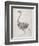 Fowl: Lateral View, Deeply Disecting-George Stubbs-Framed Giclee Print