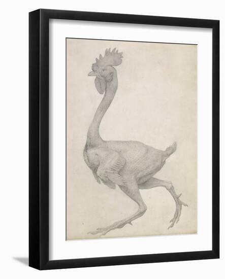 Fowl: Lateral View with Most Feathers Removed-George Stubbs-Framed Giclee Print