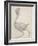 Fowl: Lateral View with Most Feathers Removed-George Stubbs-Framed Giclee Print